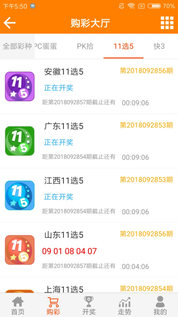王中王黃金一肖二碼資料，深度解析與SEO優(yōu)化，王中王黃金一肖二碼資料深度解析與SEO優(yōu)化技巧