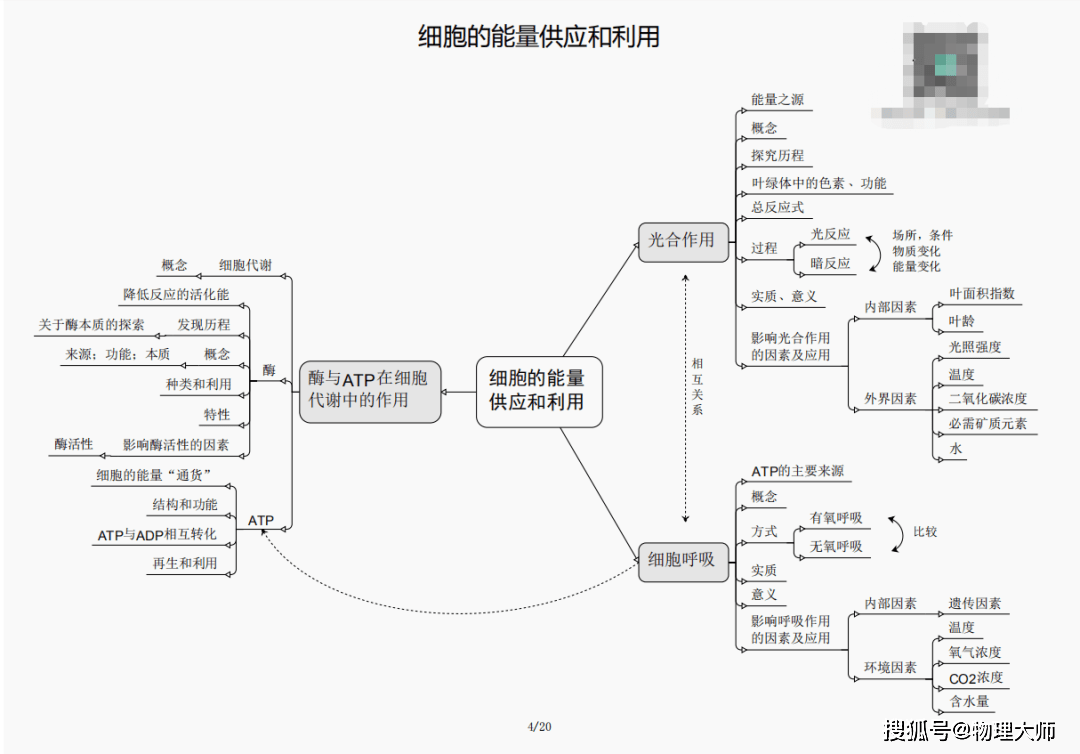 揭秘劉伯溫四肖三期內必出一，神秘預言背后的真相，劉伯溫四肖三期預言真相揭秘，神秘預言背后的必然與偶然