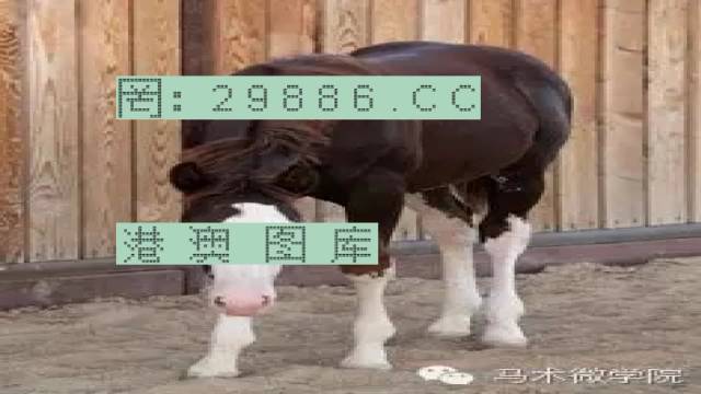 揭秘446999一肖中特馬之秘密，掌握中獎玄機(jī)！，揭秘特馬中獎玄機(jī)，446999一肖中的秘密大揭秘！