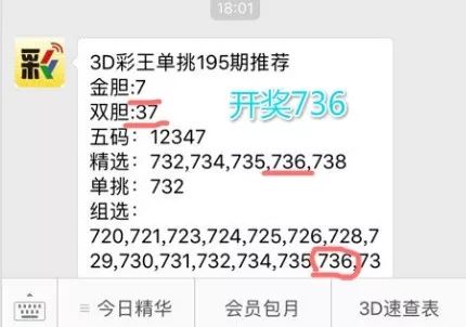 王中王一肖中特4993，深度解析與探索，王中王一肖中特4993深度解析與探索報告