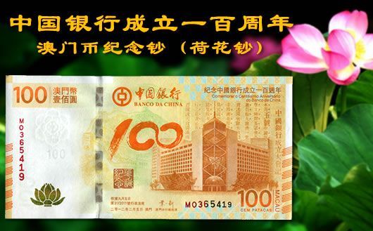 新澳門掛牌正版掛牌完整掛牌，探索與解析，澳門正版掛牌詳解，探索完整流程與解析