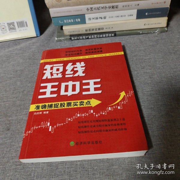 王中王平特一肖中的奧秘與探索，王中王平特一肖的奧秘與探索之旅