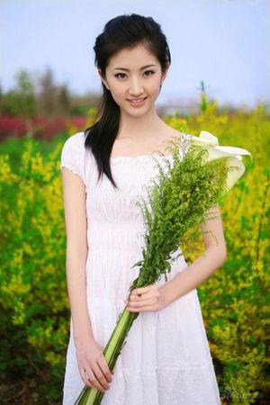 新澳門生肖走勢(shì)圖精準(zhǔn)版，解讀與SEO策略，新澳門生肖走勢(shì)圖精準(zhǔn)解讀與SEO策略揭秘