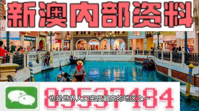 新澳最精準(zhǔn)龍門客棧，探索獨(dú)特魅力的旅游住宿體驗(yàn)，新澳龍門客棧，獨(dú)特魅力的旅游住宿體驗(yàn)探索