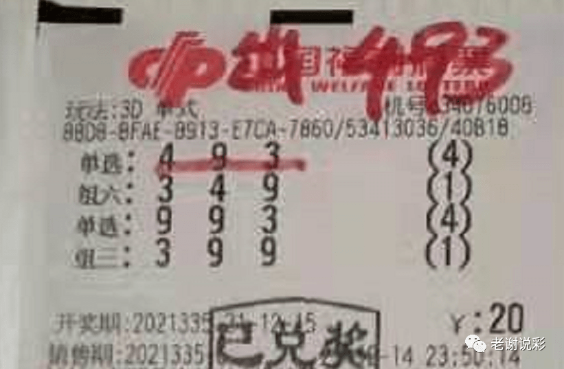 新奧門彩天天開獎(jiǎng)資料一網(wǎng)羅萬象，揭秘彩票奧秘，揭秘彩票奧秘，新奧門彩天天開獎(jiǎng)資料一網(wǎng)羅萬象