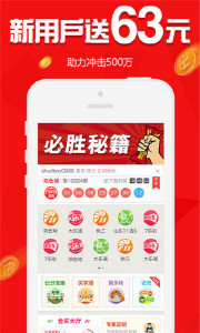 王中王欲錢請猜一肖，揭秘生肖之謎與SEO策略，揭秘生肖之謎與SEO策略，王中王欲錢請猜一肖的奧秘