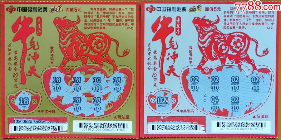 王中王19期指一生肖——探尋背后的奧秘與意義，王中王19期指一生肖，背后的奧秘與意義探尋