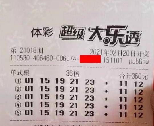 王中王018期指一生肖，揭秘背后的奧秘與意義，揭秘生肖奧秘，王中王生肖背后的意義與秘密
