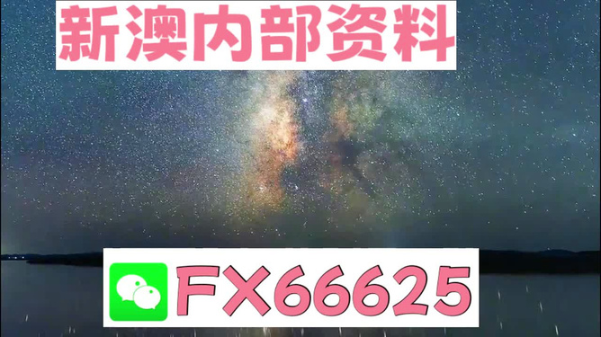新澳天天開獎資料大全最新版，全面解析與最新資訊，新澳天天開獎資料大全最新版，全面解析及最新資訊匯總
