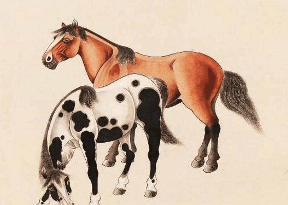 馬一王中王特平一肖圖，深度解析與SEO優(yōu)化策略，深度解析馬一王中王特平肖圖，SEO優(yōu)化策略探討
