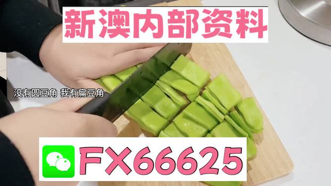 新澳精選資料免費提供，探索優(yōu)質資源的海洋，新澳精選資料免費探索，優(yōu)質資源海洋的開啟