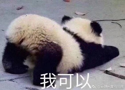 澳門四不像正版四不像網(wǎng)，探索真實(shí)與虛幻的交融之地，澳門四不像正版探索，真實(shí)與虛幻的交融世界