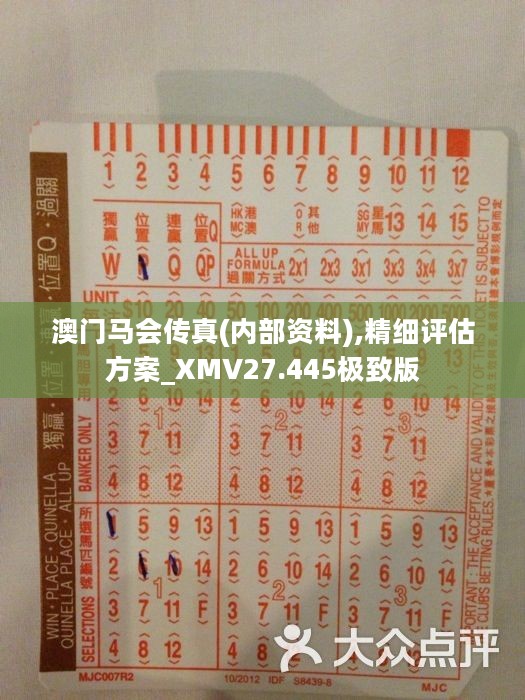 馬會傳真正版，探索正版馬會文化的魅力與價值，正版馬會文化的魅力與價值探索