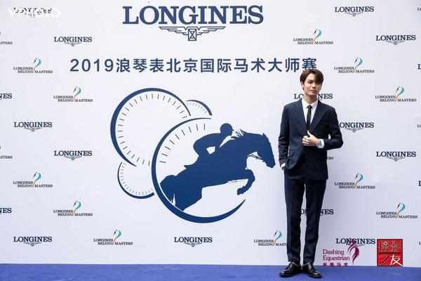 王中王一肖精準，深度解析與策略探討，王中王一肖精準解析與策略深度探討