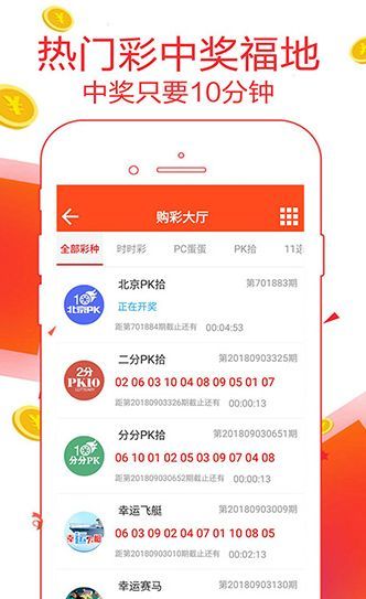 王中王一肖碼數(shù)口，深度解析與SEO優(yōu)化策略，王中王一肖碼數(shù)口深度解析與SEO優(yōu)化策略探討