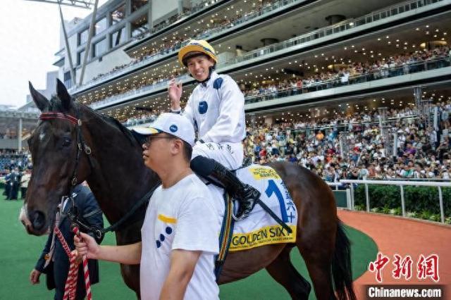 香港特馬王資料免費(fèi)公開(kāi)，揭秘背后的秘密，香港特馬王資料揭秘，免費(fèi)公開(kāi)背后的秘密