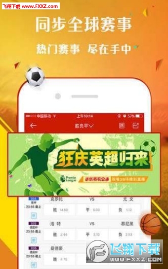 王中王一肖，探尋背后的故事與影響力（2019年），王中王一肖，背后的故事與影響力揭秘（2019年）