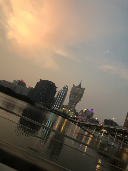 澳門今晚必開一肖一特，深度解析與預測，澳門今晚生肖特碼深度解析與預測，一肖一特必開趨勢探討