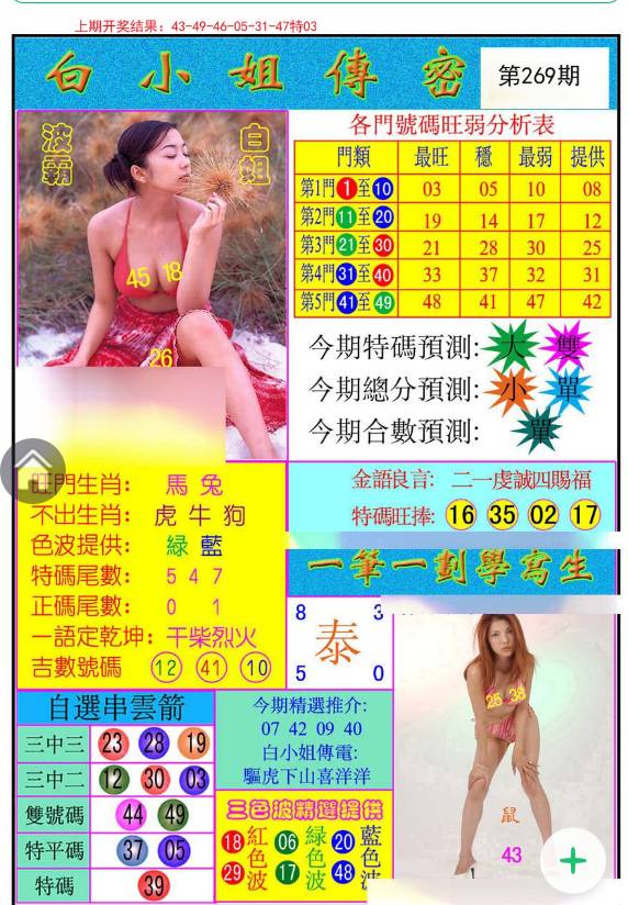 揭秘白小姐與王中王平持一肖的神秘面紗，白小姐與王中王，揭秘神秘生肖預(yù)測(cè)面紗