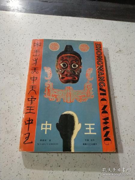 王中王資料與肖中特，深度解析，王中王資料與肖中特深度剖析