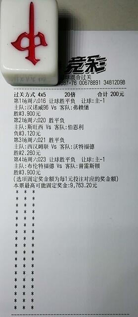 揭秘買一肖中獎的賠率與風(fēng)險，你真的準(zhǔn)備好了嗎？，揭秘買一肖中獎背后的賠率與風(fēng)險，你真的做好準(zhǔn)備了嗎？
