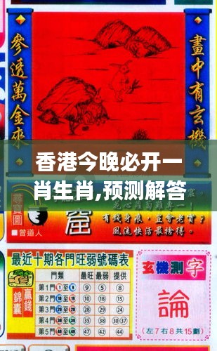 香港和彩王中王精準(zhǔn)一肖，揭秘彩票預(yù)測之謎，揭秘彩票預(yù)測之謎，香港和彩王中王精準(zhǔn)預(yù)測一肖技巧