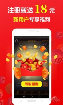 王中王一肖中打一，深度解析一種獨(dú)特的文化現(xiàn)象，王中王一肖中打一，獨(dú)特文化現(xiàn)象的深度探究