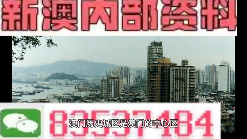 澳門全年最全免費資料大全，探索無盡的資源寶庫，澳門全年免費資料寶庫，探索無盡資源之旅