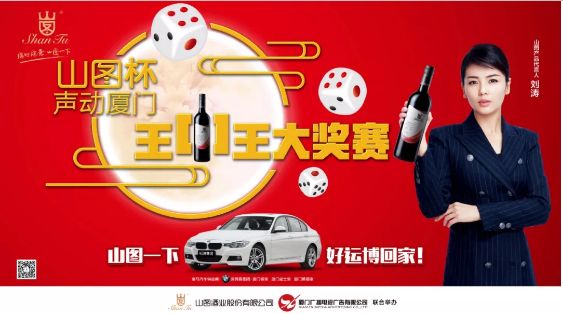 揭秘王中王背后的故事，從肖中的視角看其在SEO領(lǐng)域的輝煌成就，肖中視角下的王中王，SEO領(lǐng)域的輝煌成就揭秘