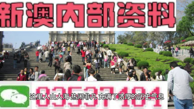 澳門最精準(zhǔn)免費資料大全旅游團，探索澳門之旅的完美選擇，澳門最精準(zhǔn)免費資料大全旅游團，探索澳門之旅的不二之選