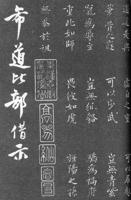 一肖二碼中特的意思解析，一肖二碼中特的意思深度解析