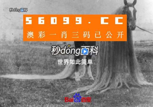 澳門一肖一碼一必中一肖舟山，揭秘彩票秘密，掌握幸運之鑰，揭秘彩票秘密，澳門一肖一碼必中秘籍與幸運之鑰在舟山開啟