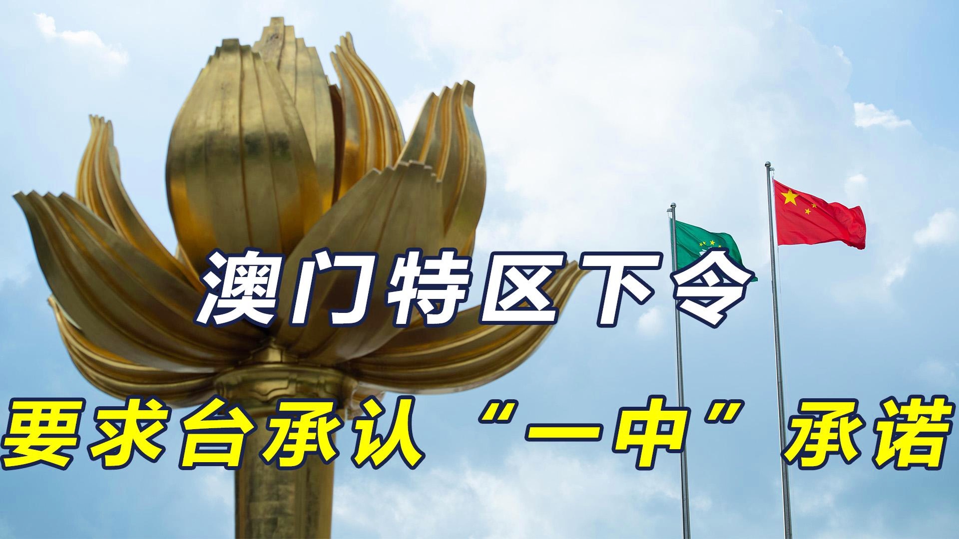 澳門一碼一肖一特一中今晚預測與探索，澳門今晚一碼一肖一特一中預測與揭秘