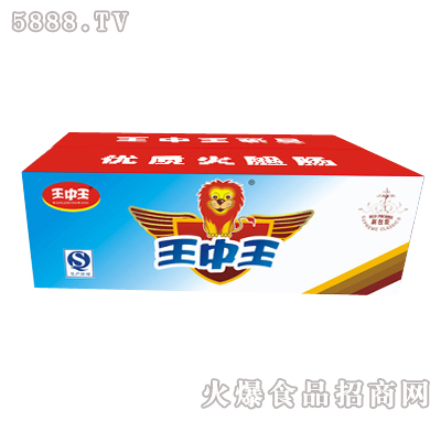 王中王一肖特圖，揭秘背后的故事與魅力，揭秘王中王一肖特圖的背后故事與魅力
