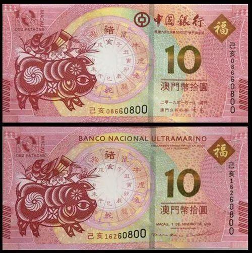澳門天天彩期期精準(zhǔn)十二生肖預(yù)測(cè)——揭秘彩票背后的秘密，澳門天天彩期期精準(zhǔn)十二生肖預(yù)測(cè)，彩票背后的秘密大揭秘