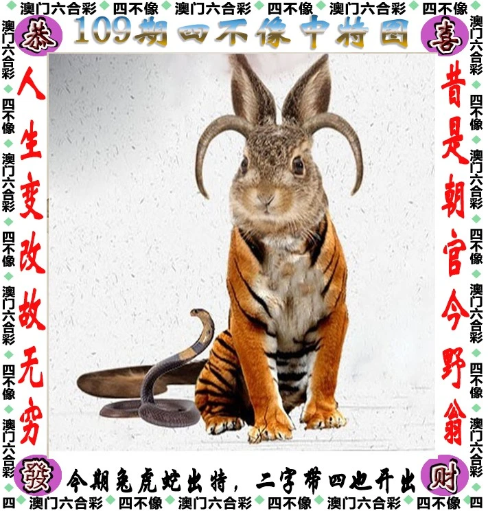 四不像王中王資料一肖，深度解析與探索，四不像王中王資料一肖，深度解析與探索揭秘