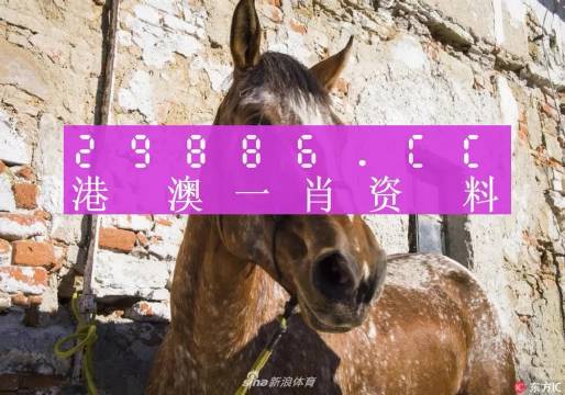 王中王資料一門肖中，深度解析與探索，王中王資料一門肖詳解，深度解析與探索