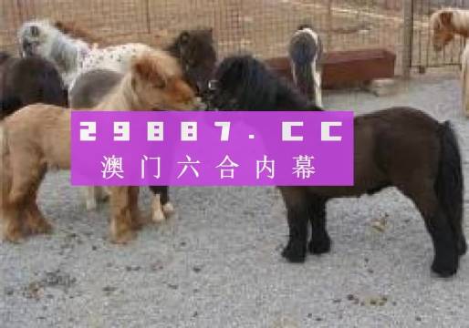 王中王平特一肖四不像圖，深度解析與SEO優(yōu)化策略，王中王平特一肖四不像圖，深度解析與SEO優(yōu)化策略探討