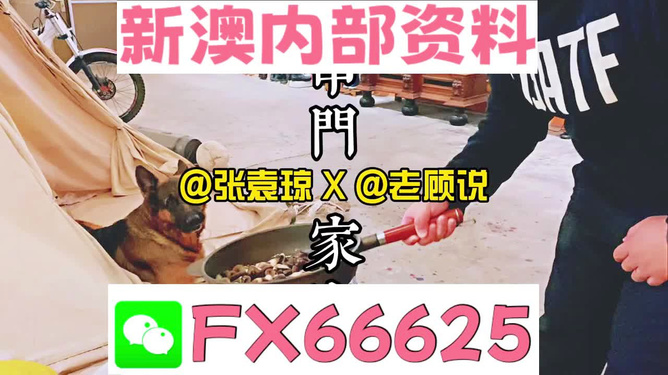 新澳門(mén)精準(zhǔn)資料大全，管家婆料解析與探索，澳門(mén)精準(zhǔn)資料大全，管家婆料解析與深度探索