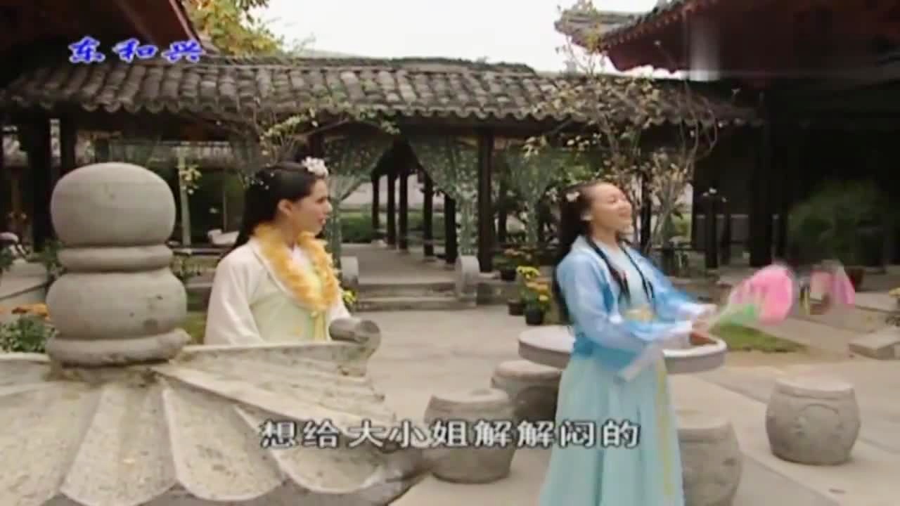 劉伯溫白小姐一肖期期準(zhǔn)，神秘預(yù)測背后的真相，劉伯溫白小姐生肖預(yù)測揭秘，神秘預(yù)測背后的真相