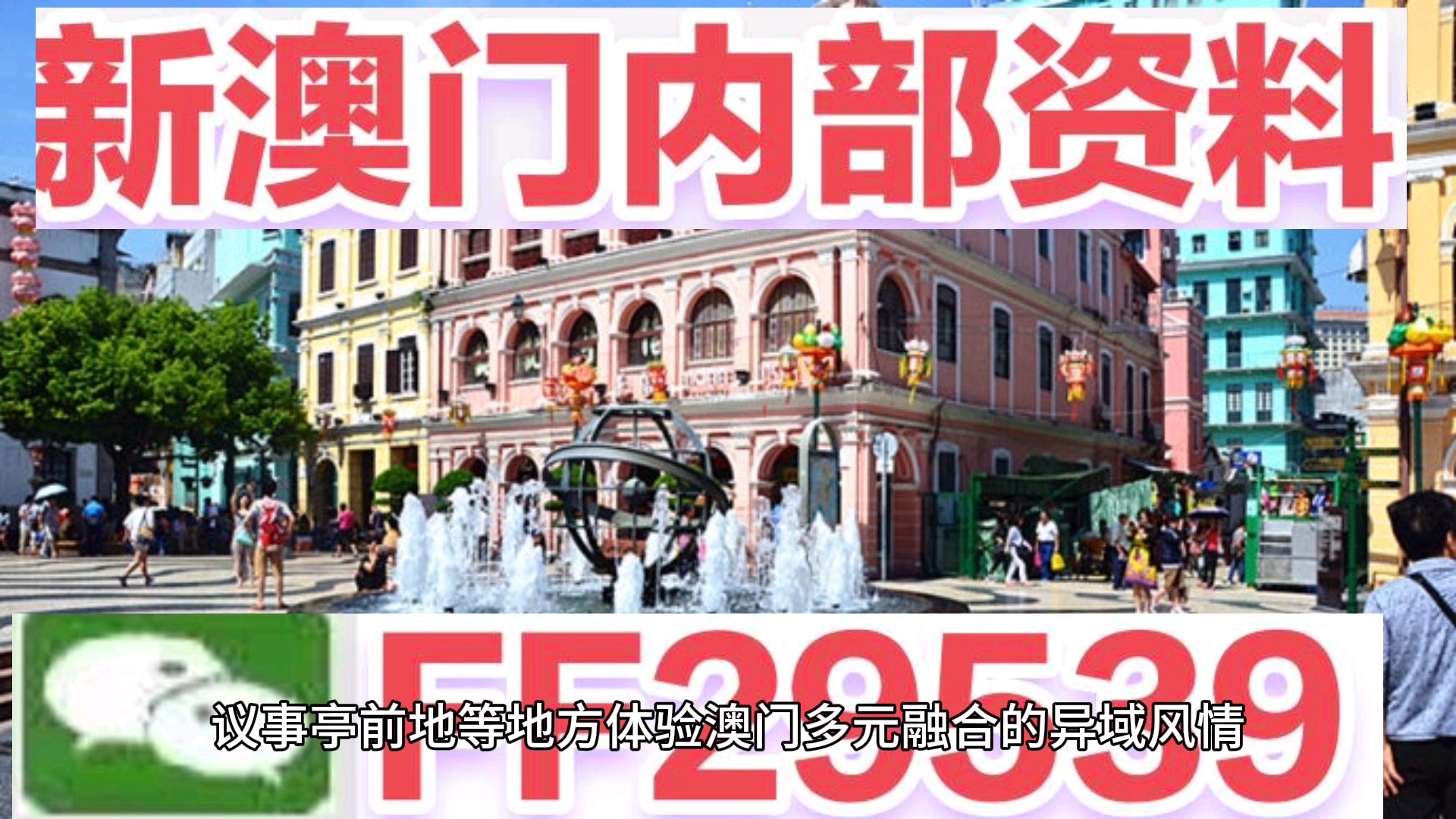 澳門今晚必開一肖一特，揭秘生肖彩票的魅力與策略，澳門生肖彩票揭秘，必開一肖一特的魅力與策略