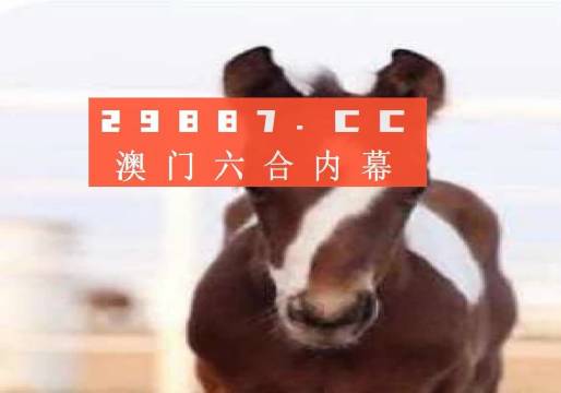 澳門必開一肖一碼安穩(wěn)，揭秘彩票背后的秘密與策略，揭秘彩票背后的秘密與策略，澳門必開一肖一碼安穩(wěn)探討