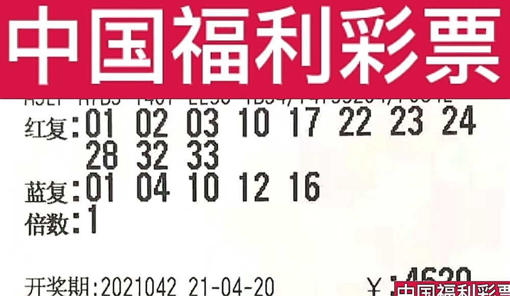 新奧門今晚開獎結(jié)果查詢第243期，全面解析與預(yù)測，新奧門第243期開獎結(jié)果解析與預(yù)測，今晚開獎揭秘