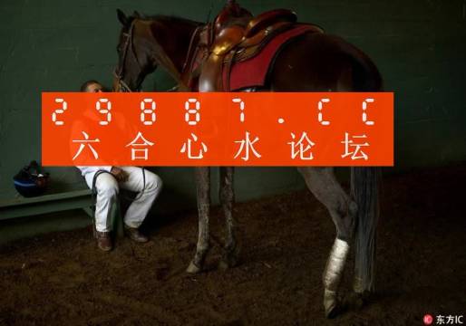 一肖一馬王中王一馬中特，深度解析與SEO優(yōu)化策略，一肖一馬王中王深度解析與SEO優(yōu)化策略探討
