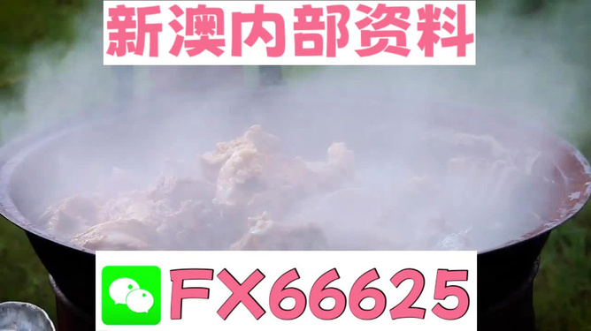新澳全年免費(fèi)資料大全，一站式獲取優(yōu)質(zhì)資源指南，新澳全年優(yōu)質(zhì)資源免費(fèi)獲取指南