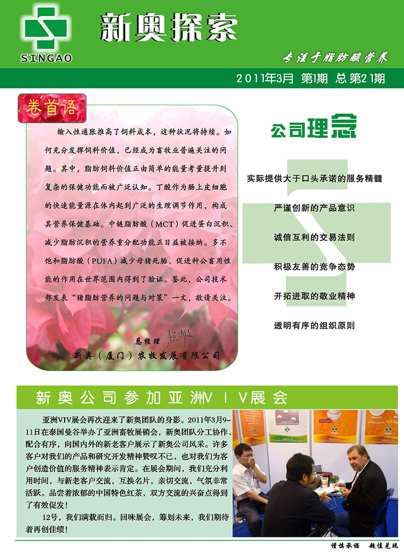 2025新澳正版資料精準(zhǔn)解析，2025新澳正版資料精準(zhǔn)解析手冊