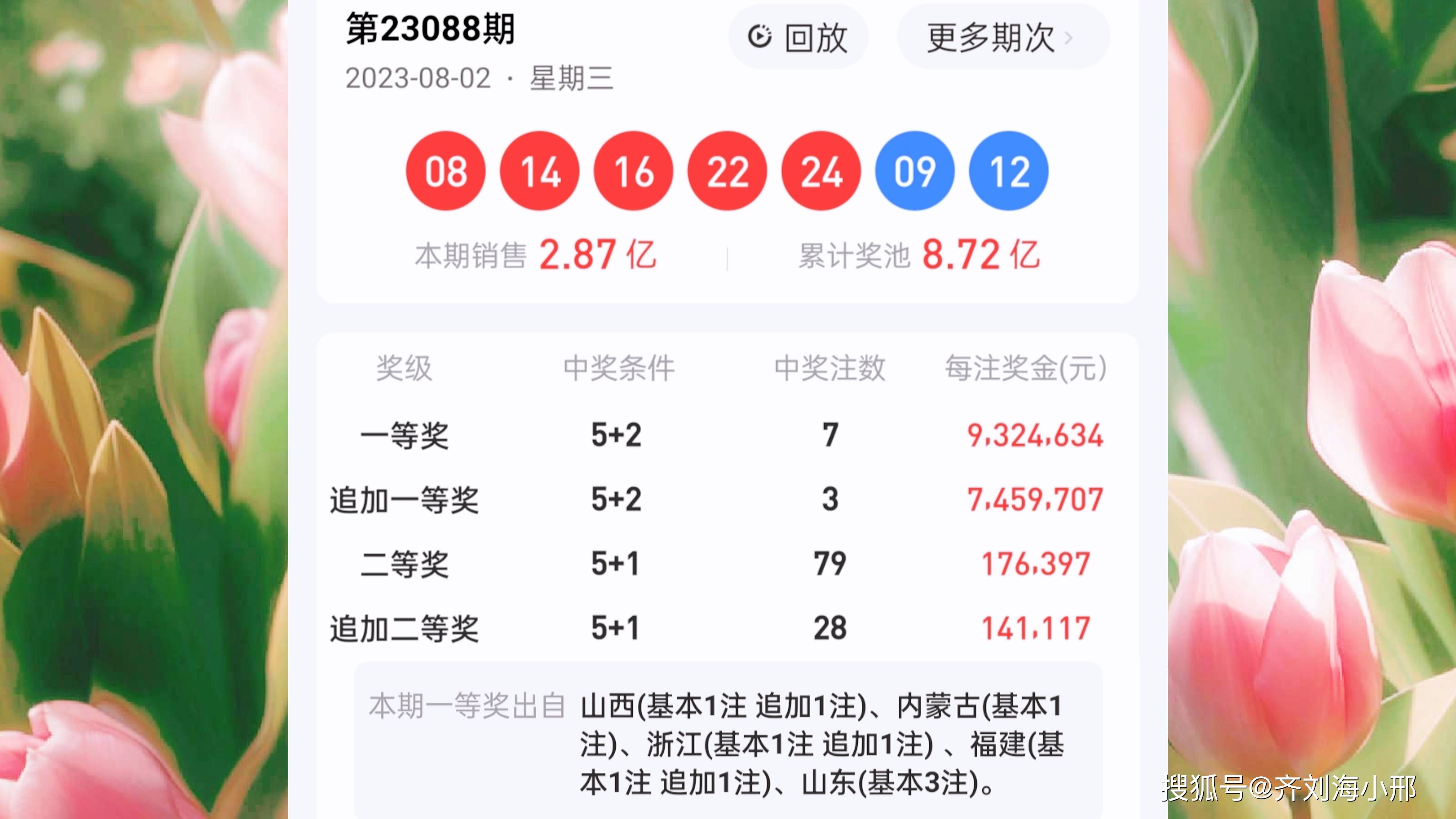 最新開獎結(jié)果揭曉，王中王與一肖中的幸運時刻，王中王與一肖中幸運時刻揭曉，最新開獎結(jié)果出爐