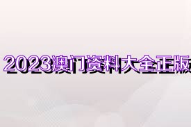澳門資料大全正版資料免費，探索未來的澳門與2025展望，澳門未來展望，資料大全正版免費探索與2025展望