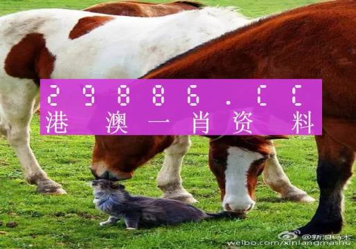 新奧門一肖一碼，揭秘精準(zhǔn)預(yù)測的秘密，揭秘新澳門一肖一碼精準(zhǔn)預(yù)測的秘密