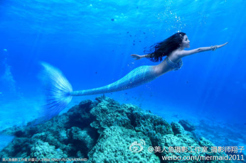 澳門(mén)美人魚(yú)最快開(kāi)獎(jiǎng)結(jié)果圖——揭秘?zé)衢T(mén)彩票游戲背后的秘密，澳門(mén)美人魚(yú)彩票開(kāi)獎(jiǎng)揭秘，最新結(jié)果圖與游戲背后秘密探索